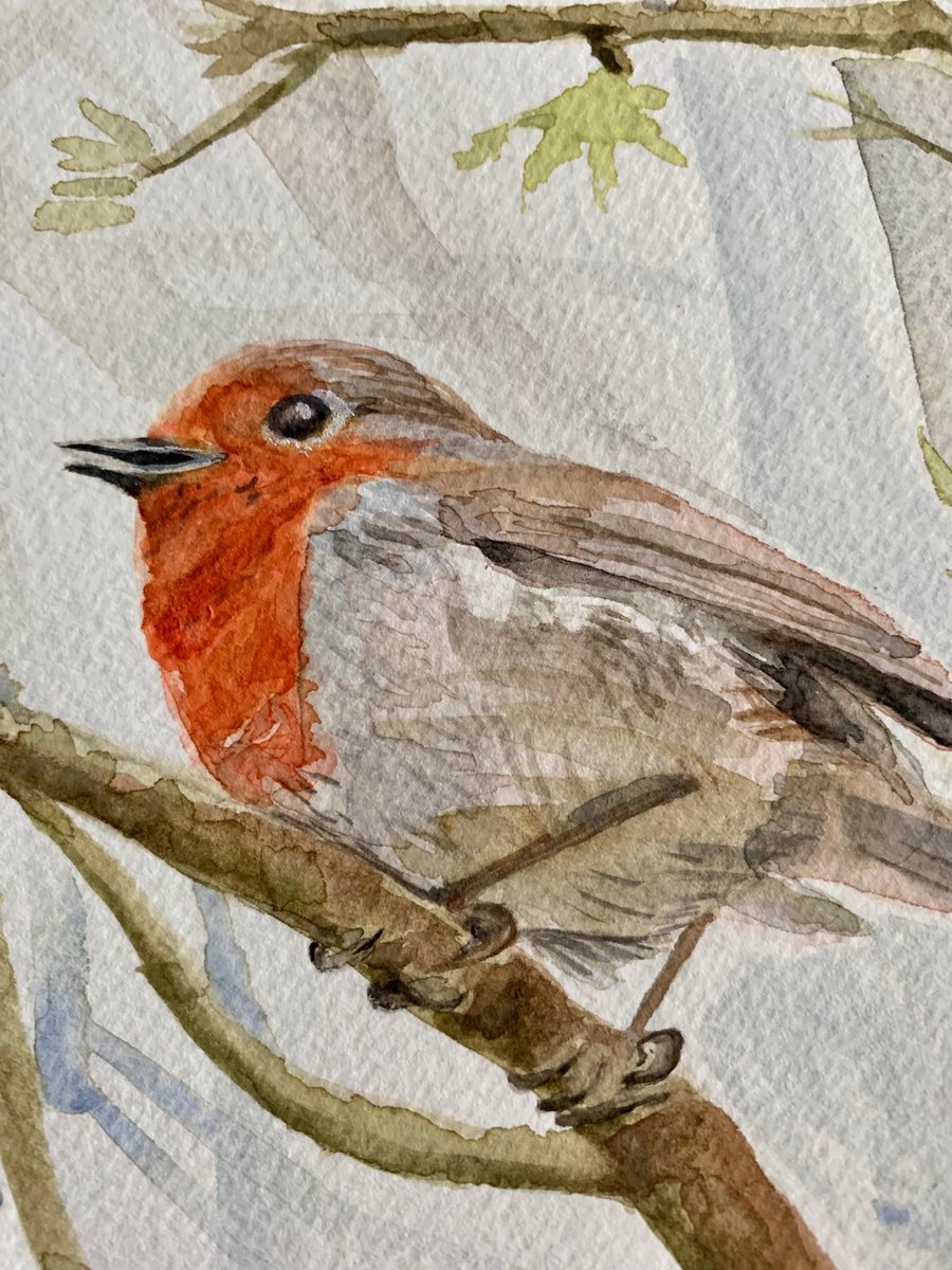 Robin in Spring bird (original watercolour painting)