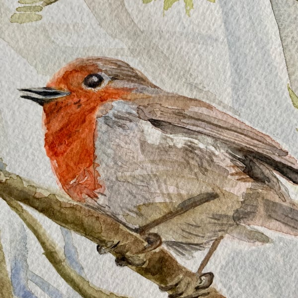 Robin in Spring bird (original watercolour painting)