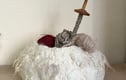 Miscellaneous felt items