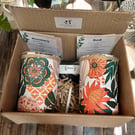 Dark green & orange geometric bloom grow your own herb garden gift set