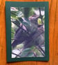 Handmade photo card of two 'Young Blackcaps' 