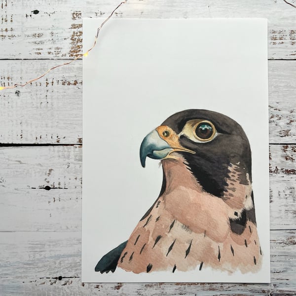 Peregrine falcon print watercolour