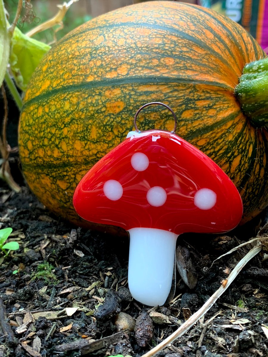 Fused Glass Toadstool