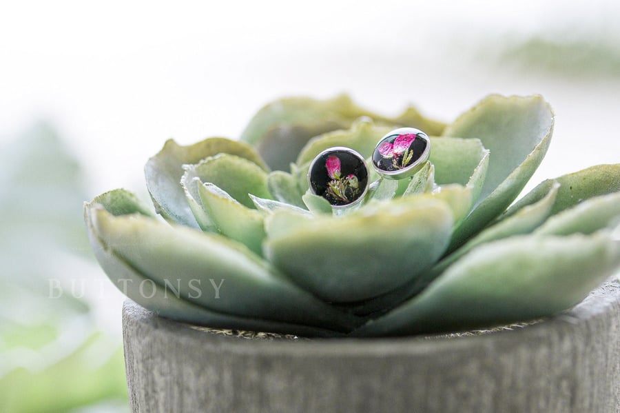 Tiny Real Flower Earrings Black Rose Earrings Heather Earrings Pressed Flower Ea