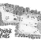 Ryebank Fields, Manchester