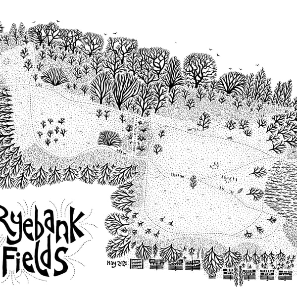 Ryebank Fields