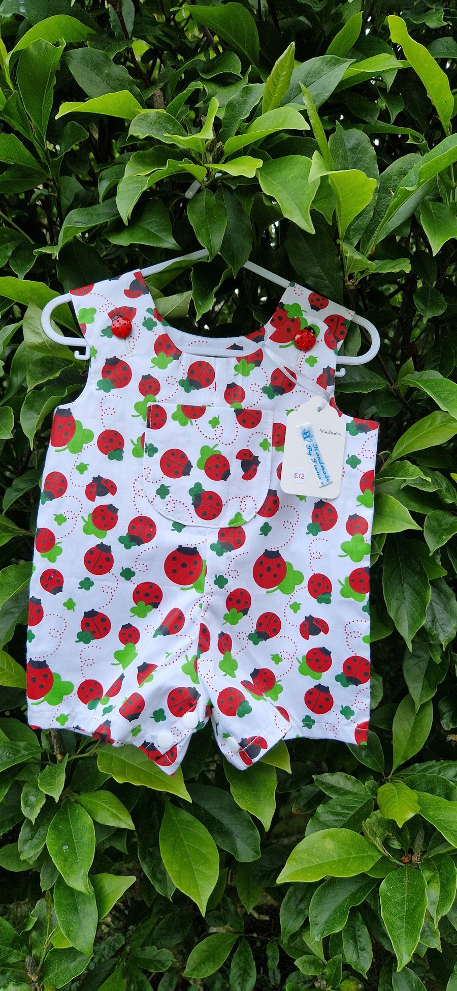 Age: Newborn - Ladybird and Clover Leaf Rompers
