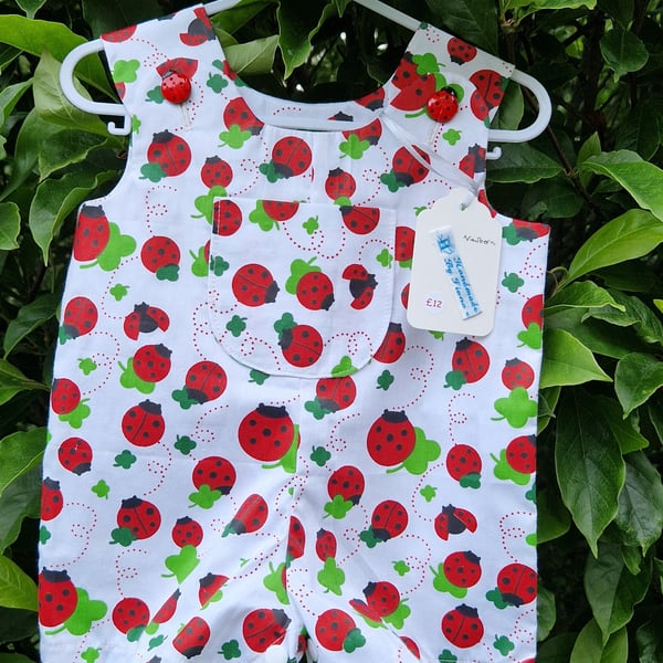 Age: Newborn - Ladybird and Clover Leaf Rompers