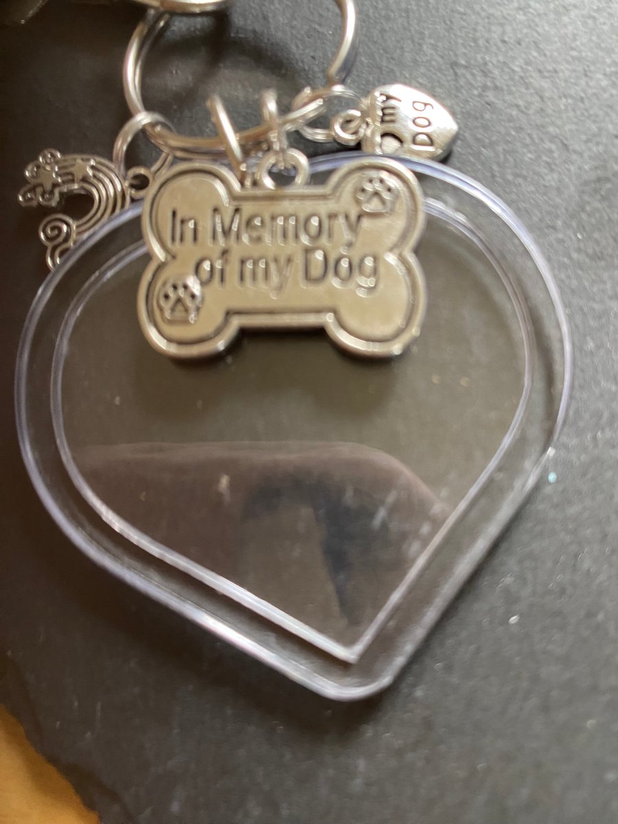In memory of my dog photo keyring..carry them with you