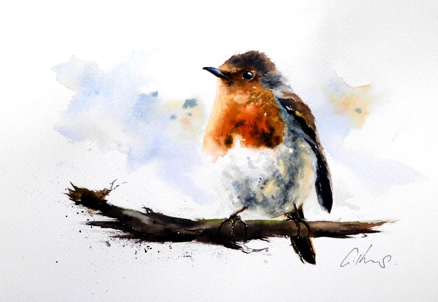 A Proud Robin, Original Watercolour Painting.