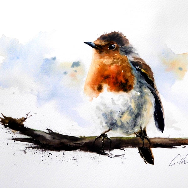 A Proud Robin, Original Watercolour Painting.