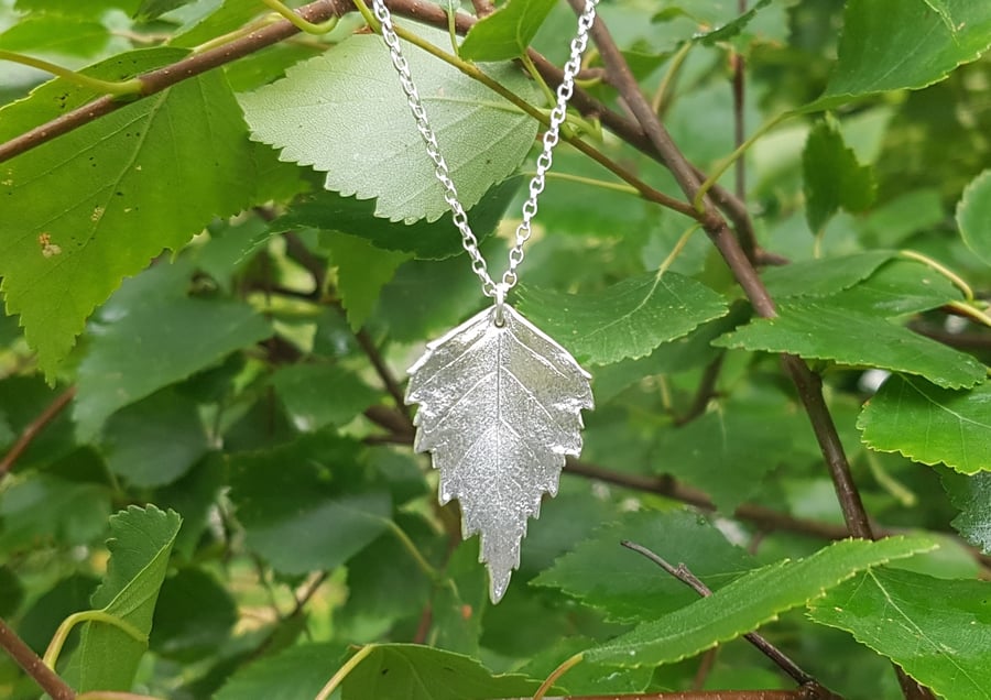 Silver Birch Necklace large
