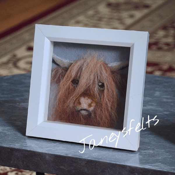 Highland cow portrait