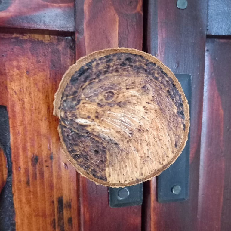 Otter pyrography wood slice magnet