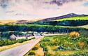 Original Art -Watercolour, Gouache, Acrylic, Mixed Media