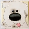 Cute Dog Birthday Handmade Greeting Card