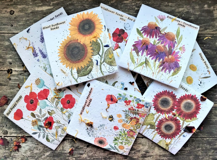 Pack of 9 Assorted Flower Seed Packets,Beautifully illustrated nature inspired