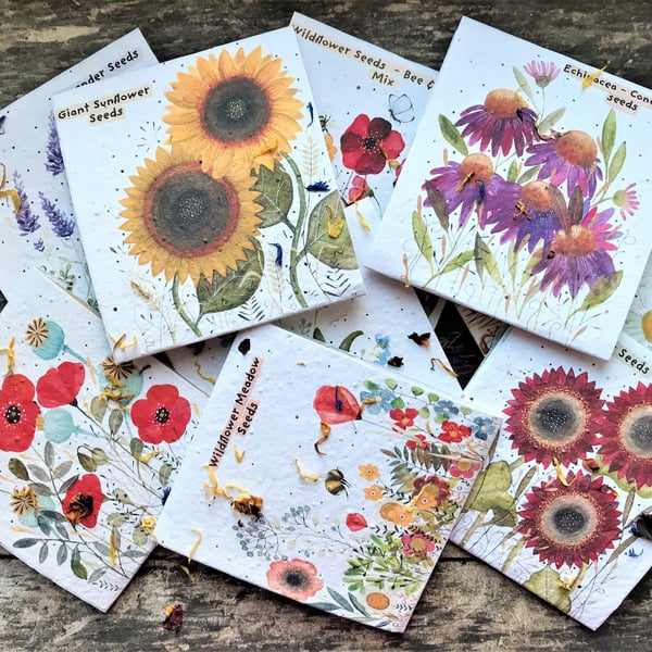 Pack of 9 Assorted Flower Seed Packets,Beautifully illustrated nature inspired