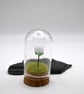 small white glass rose