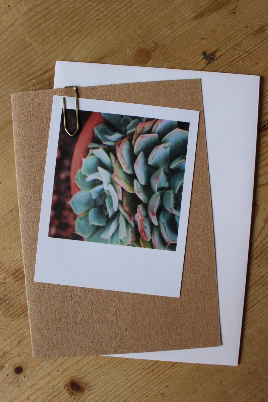 “Polaroid” style photo card: Plants