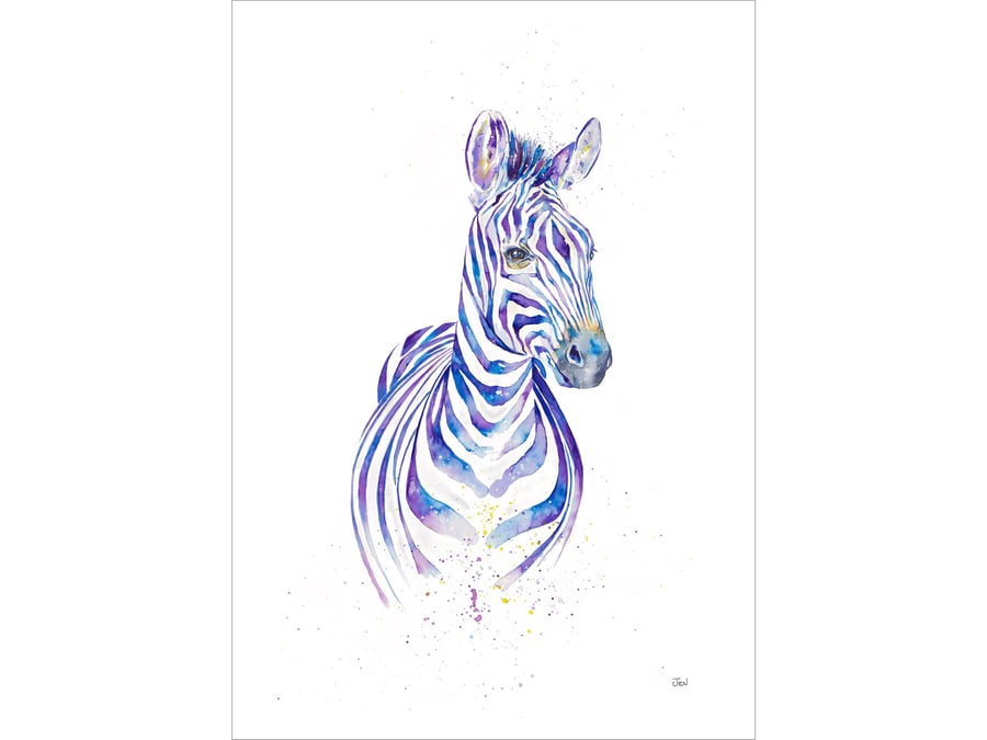 Zebra watercolour print, painting, illustration, African wall art