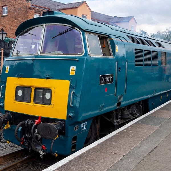 Western Thunderer D1011 photo print