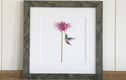 12” x 12” Framed Prints
