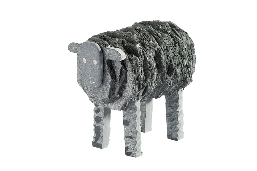 Slate Herdwick Ewe