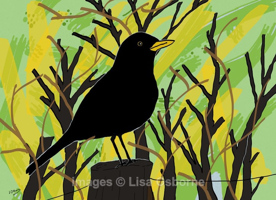 Blackbird. Signed print. Digital illustration. Wildlife. Garden birds