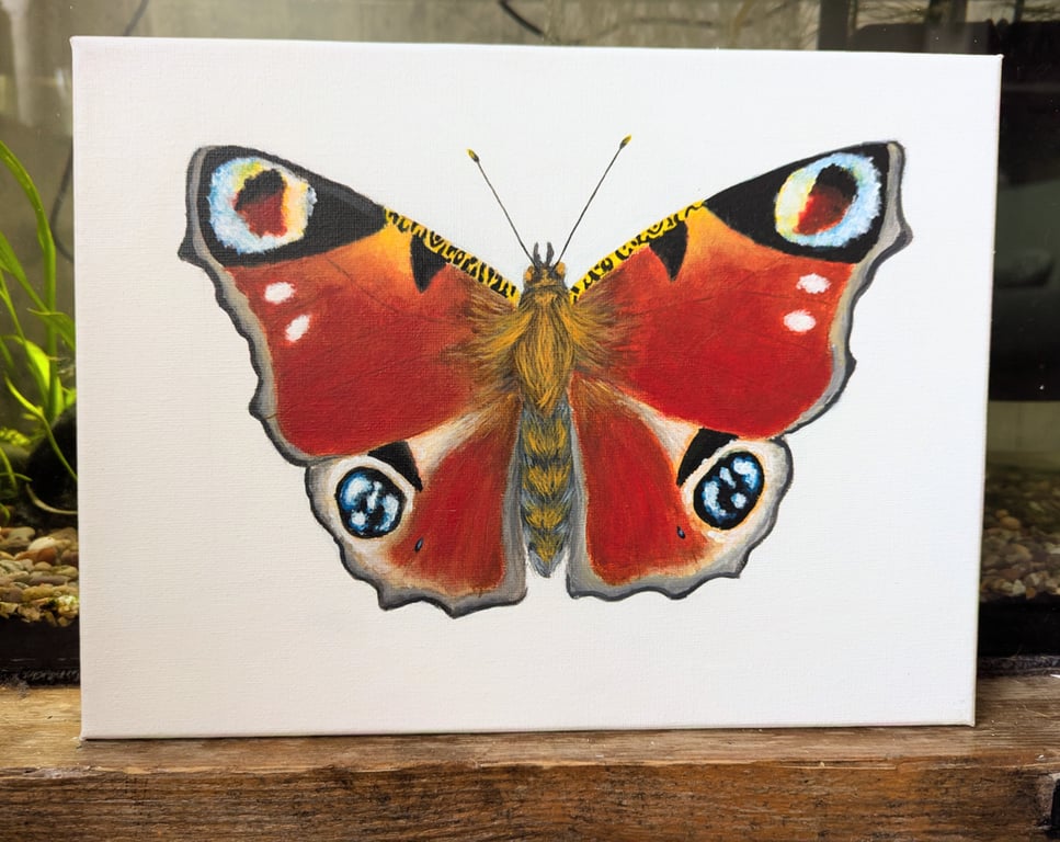 Peacock Butterfly Painting 