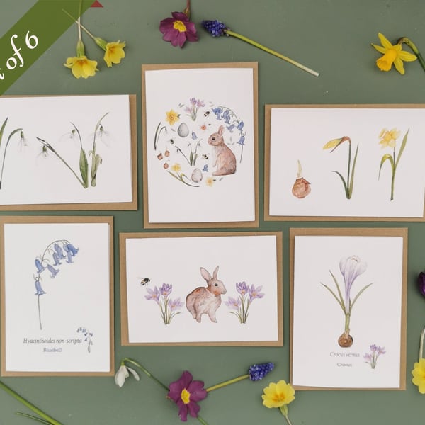 Set of 6 Spring Illustrated Greetings Cards