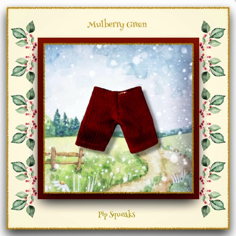 Pip Squeaks Burgundy Corduroy Trousers