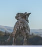 French Bulldog Lifting Paw Statue Large  Bronze Resin Garden Sculpture  - Image 4