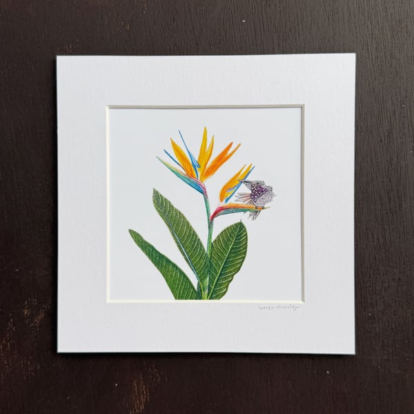 'Paradise' 8" x 8" Mounted Print