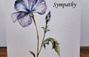 Get Well/Sympathy Cards