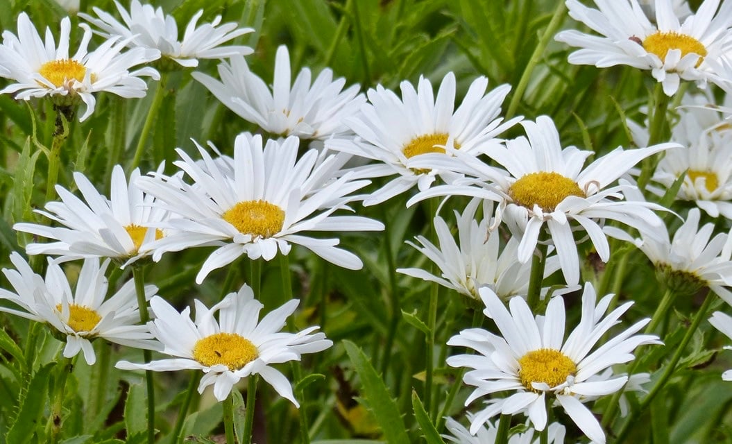 7" x 5" Photographic Card