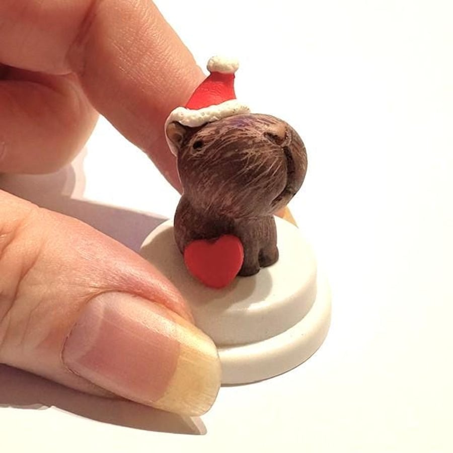 Pet Capybara, Capybara lover, Cappy Christmas, Cappy Birthday