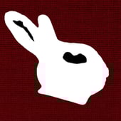 Thewhiterabbit
