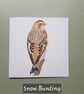 Dartmoor Bird Cards - single - Image 8