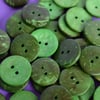 Bright and Bold Green Coconut Shell Buttons 6pk 20mm