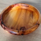 Beautiful unique yew wood platter 