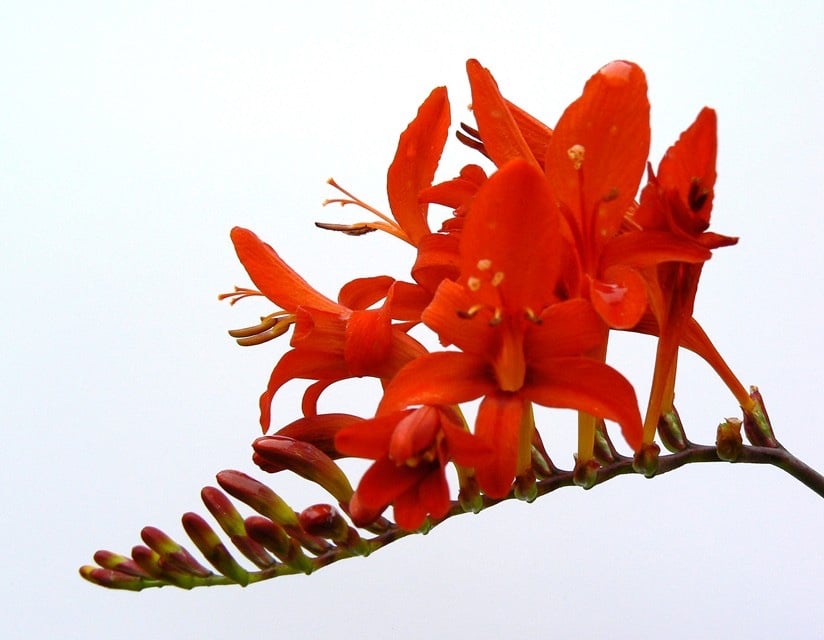 7" x 5" Photographic Card