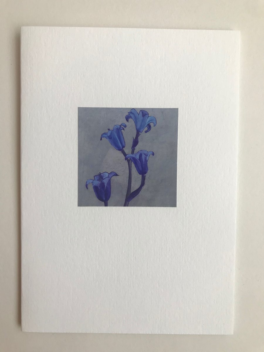 Spanish Bluebell