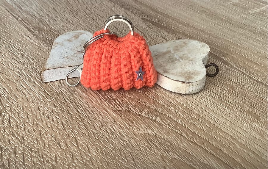 Small bad key, ear buds, coins holder