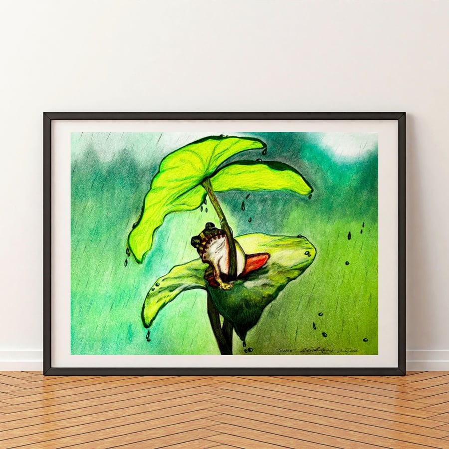 Original ‘Shelter’ Frog Leaf Colour Pencil Drawing – Wildlife Art