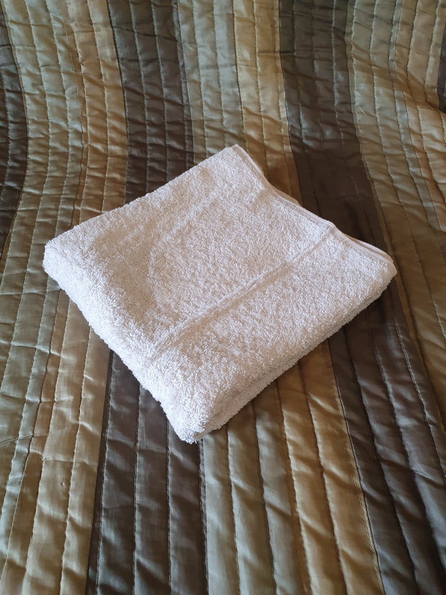 Fluffy Organic Cotton Hand Towels