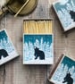 'Stargazey Bear' Luxury Safety Matches 