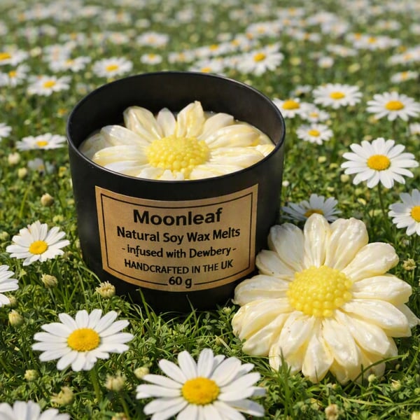 Daisy Soy Wax Melts 