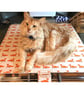 Everhot 90i Hotplate Range Covers Farmhouse Kitchen Mat Pad Stag Fox Owl - Image 9