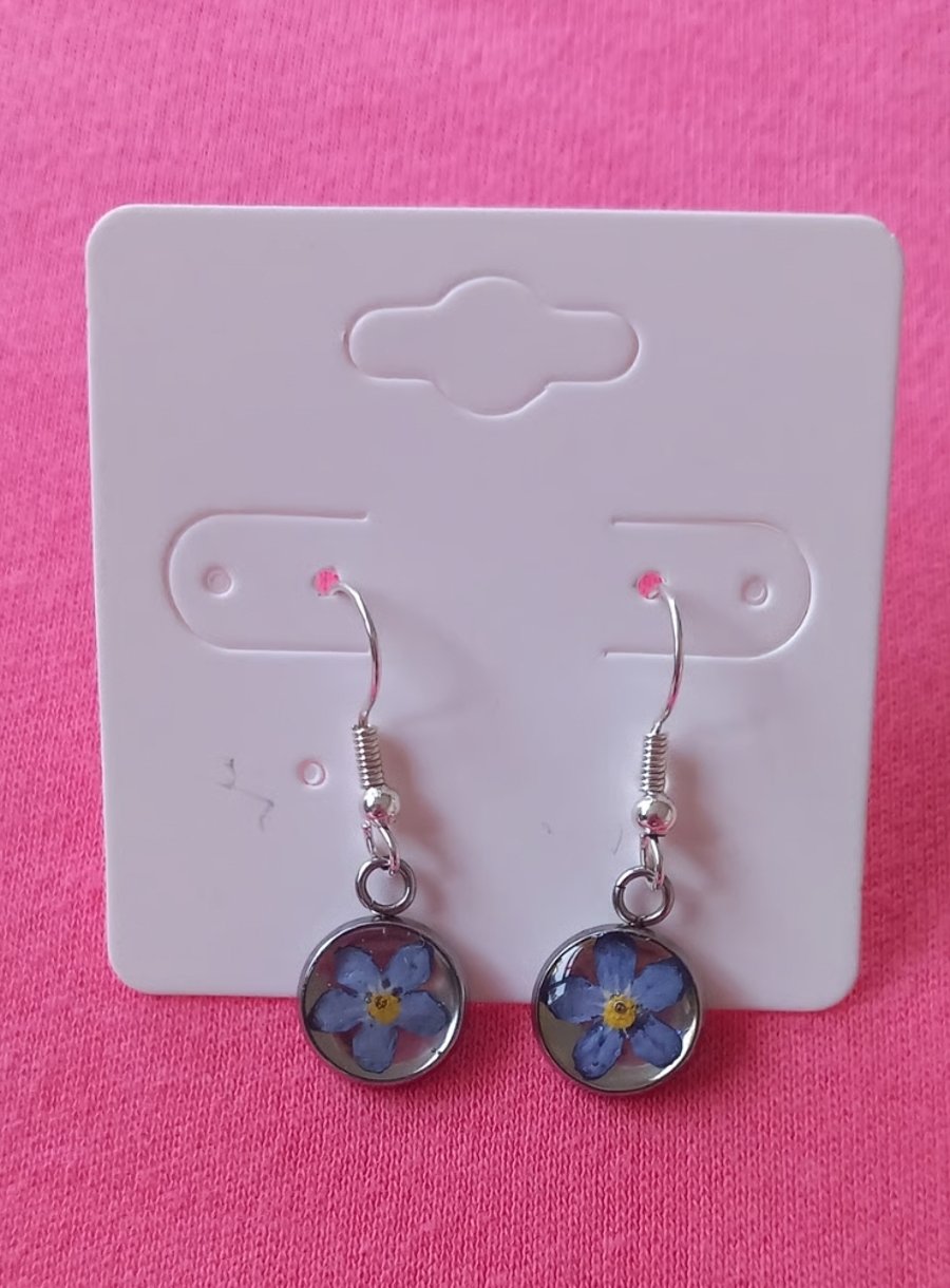 Dried flower earrings, Forget me not dangle silver earrings 